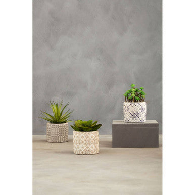 Fiori Set of 3 Succulents in Geometric Design Ceramic Pots