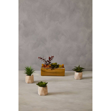 Fiori Set of 3 Succulents in Geo Cement Pots - image 9