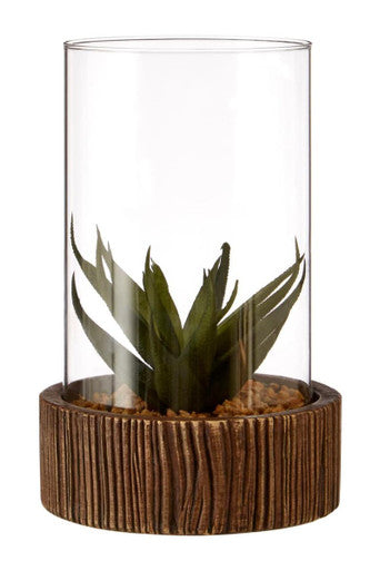 Fiori Large Succulent with Natural Stone Base