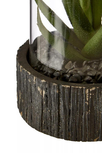 Fiori Small Succulent with Black Stone Base