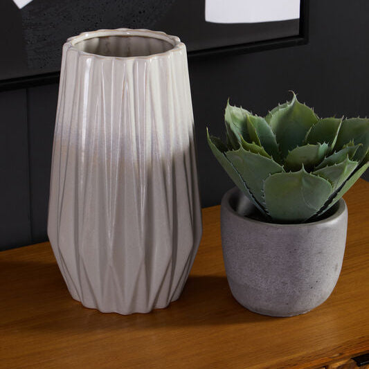 Fiori Large Succulent with Cement Pot