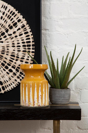 Fiori Large Aloe Vera with Cement Pot