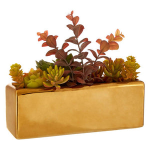 Fiori Mixed Succulents with Ceramic Gold Pot