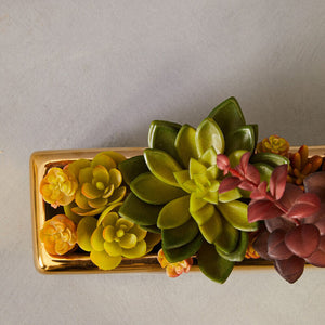 Mixed Succulents with Gold Ceramic Pot | Fiori