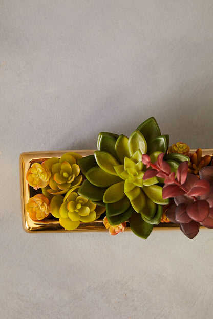 Fiori Mixed Succulents with Ceramic Gold Pot