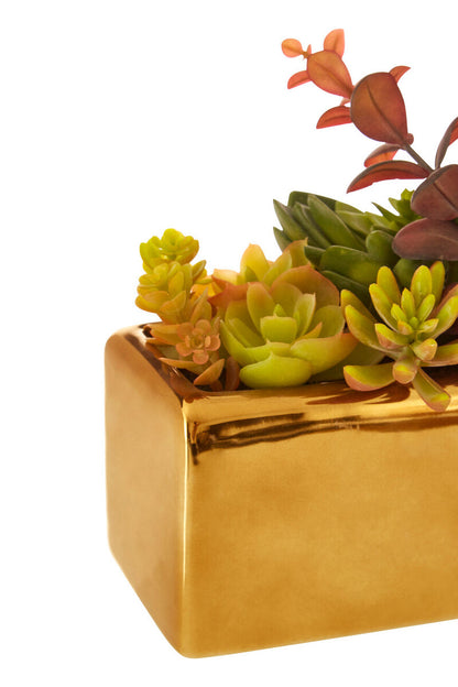 Fiori Mixed Succulents with Ceramic Gold Pot