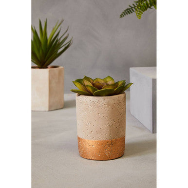 Fiori Set Of 3 Grey Pot Succulents