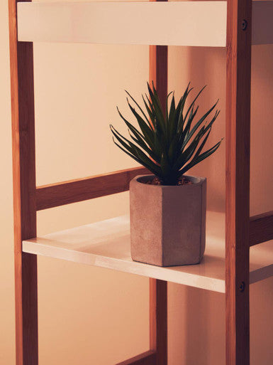 Fiori Sword Grass