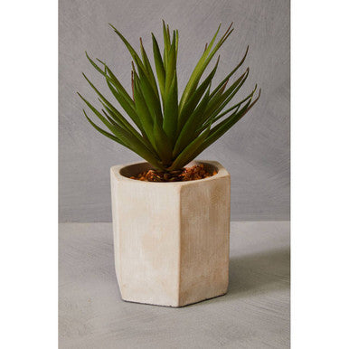 Fiori Sword Grass - image 6