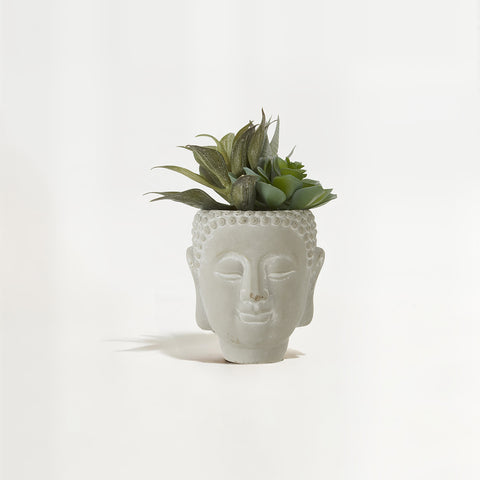 Fiori Buddha Pot Mixed Succulent