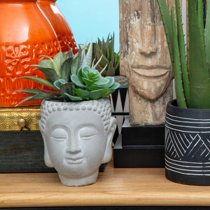 Fiori Buddha Pot Mixed Succulent