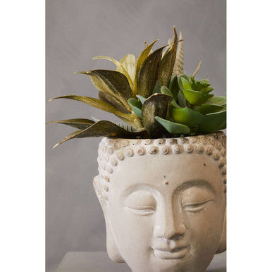 Fiori Buddha Pot Mixed Succulent