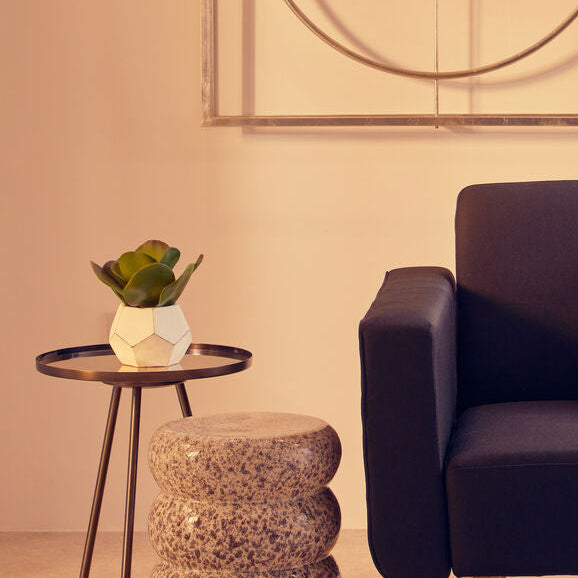 Fiori White Cement Pot Succulent