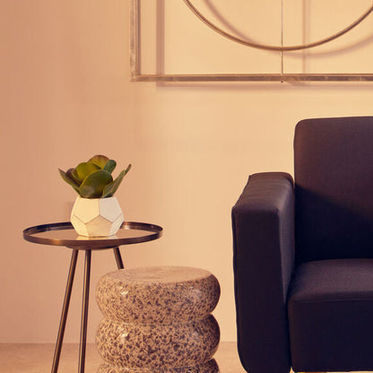 Fiori White Cement Pot Succulent