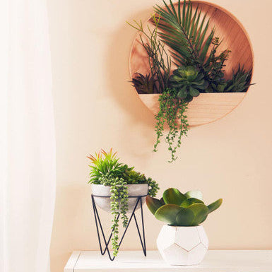 Decorative wall planter with plants on a beige wall