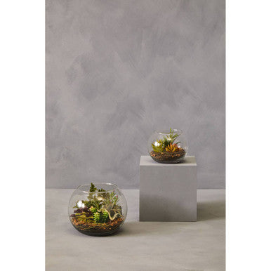 Fiori Small Glass Pot Mixed Succulent