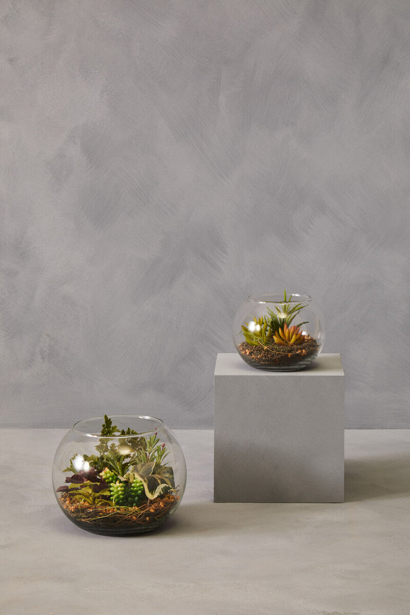 Fiori Large Glass Pot Mixed Succulent