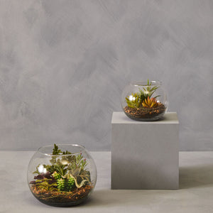 Fiori Large Terranium