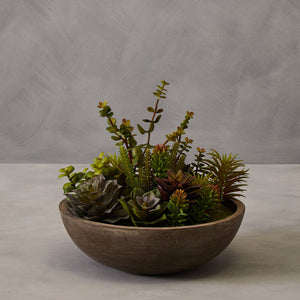 Mixed Succulent in Stone Effect Pot | Fiori