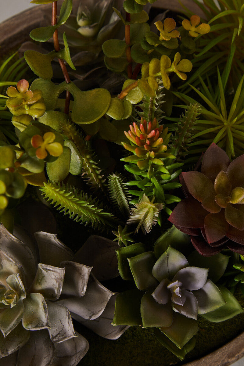 Fiori Mixed Succulent In Stone Effect Pot