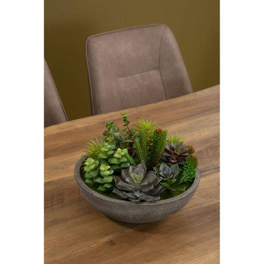 Fiori Paper Stone Effect Pot Mixed Succulent - image 6