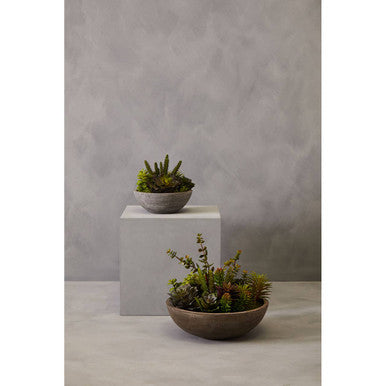 Fiori Paper Stone Effect Pot Mixed Succulent - image 4