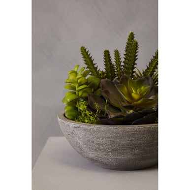 Fiori Paper Stone Effect Pot Mixed Succulent - image 5