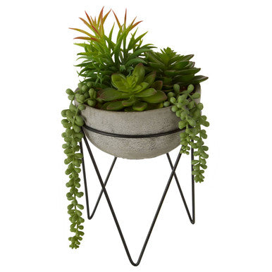 Fiori Mixed Succulent with Metal Stand