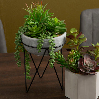 Fiori Mixed Succulent with Metal Stand