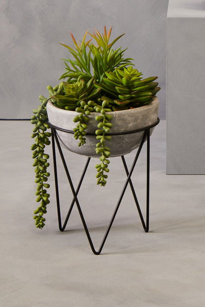 Fiori Mixed Succulent with Metal Stand