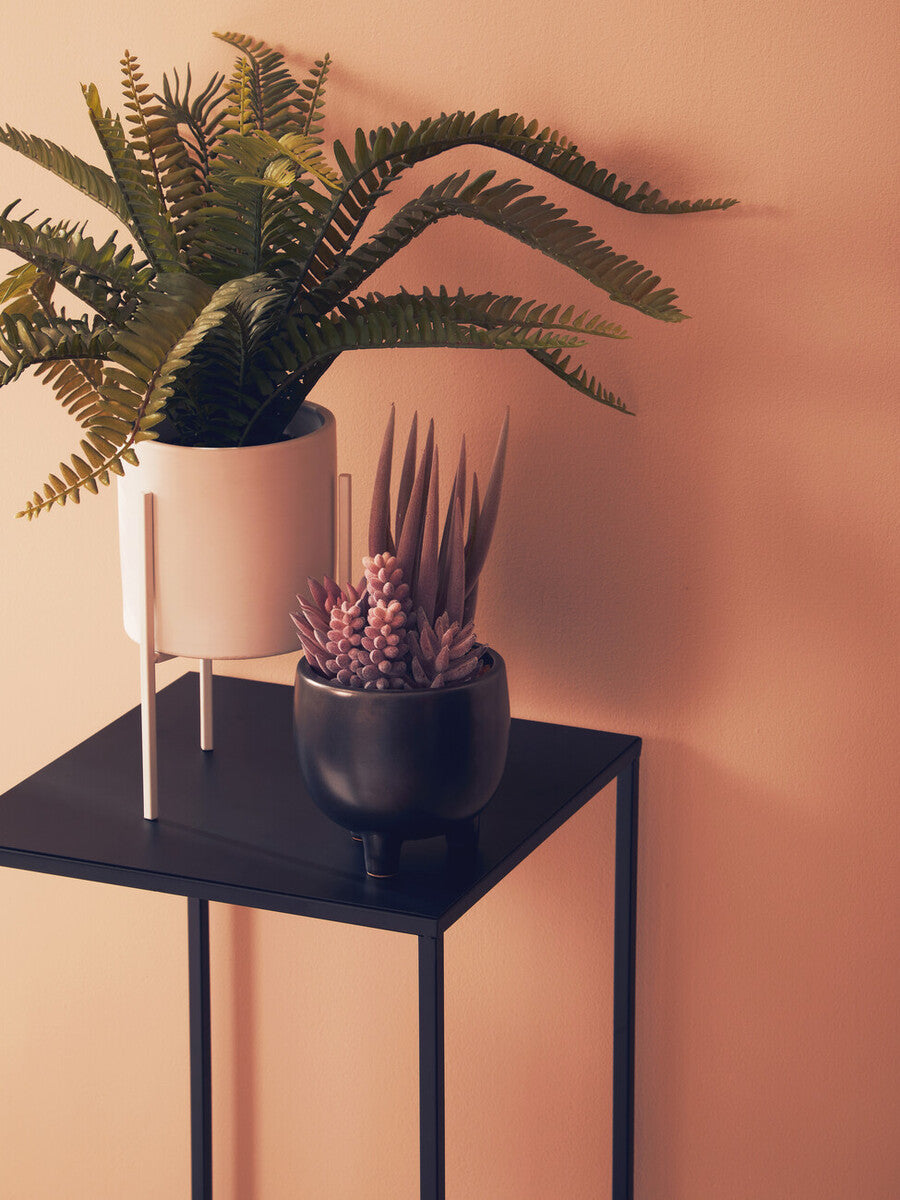 Fiori Fern In White Ceramic Pot With Iron Stand