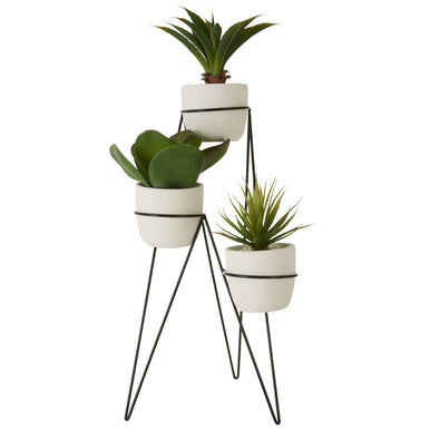 Fiori Set of 3 Succulents with Metal Stand - image 5