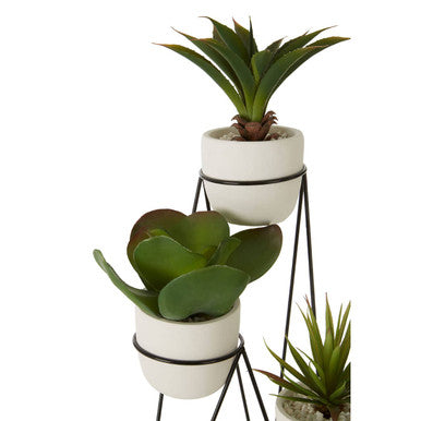 Fiori Set of 3 Succulents with Metal Stand - image 4