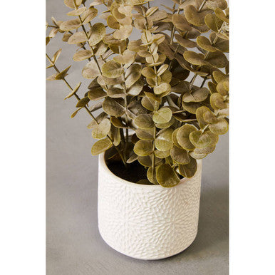 Fiori Eucalyptus with White Pot