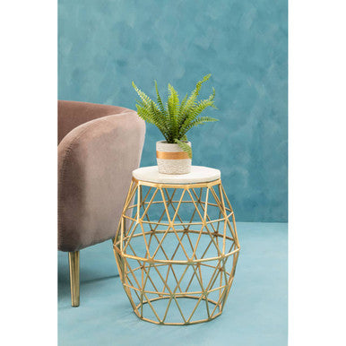 Fiori Boston Fern Succulent With Cement Pot