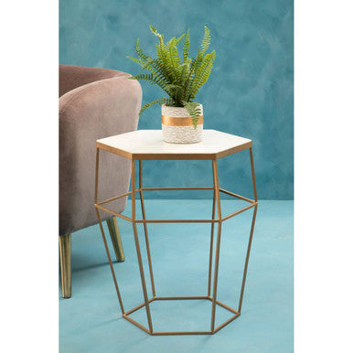 Fiori Boston Fern Succulent With Cement Pot