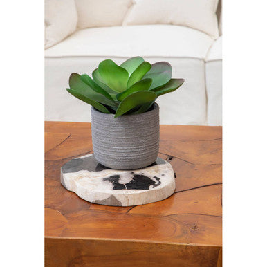 Potted plant on a decorative stone stand with a white sofa in the background