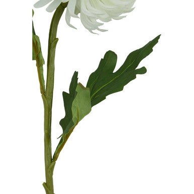 Fiori White Blazing Star Flower Stem