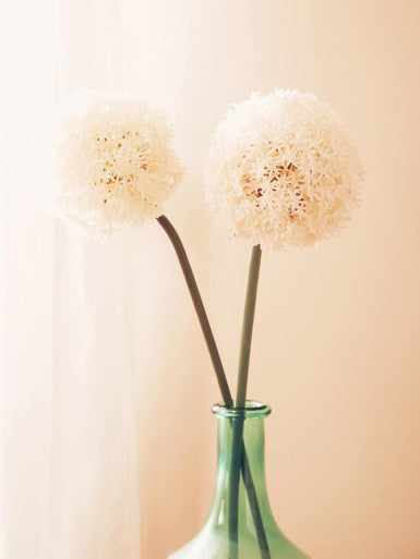 Fiori Ivory Faux Allium Stem