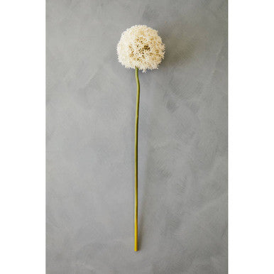 Fiori Ivory Allium Flower Stem