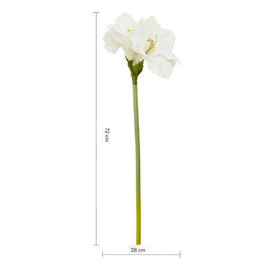 Fiori 72cm Amarylilis Ivory Stem