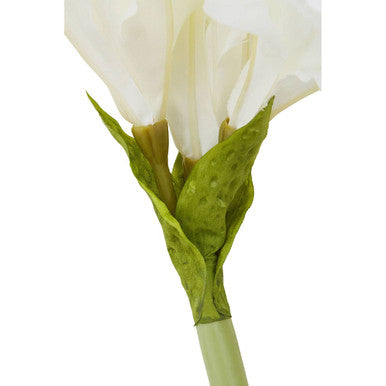 Fiori 72cm Amarylilis Ivory Stem