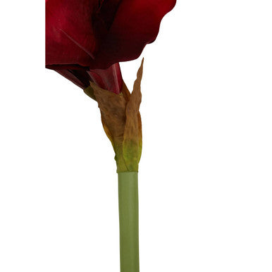 Fiori Burgundy Amarylilis Flower Stem