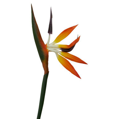 Fiori Artificial flowers 92cm Bird Of Paradise