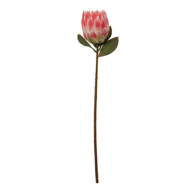 Fiori 62cm Protea Pink Stem