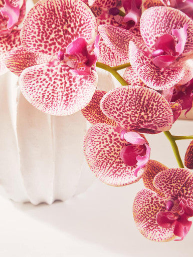 Fiori 100cm Spray Pink Orchid