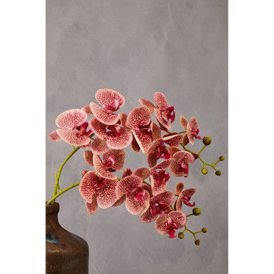 Fiori 100cm Spray Pink Orchid