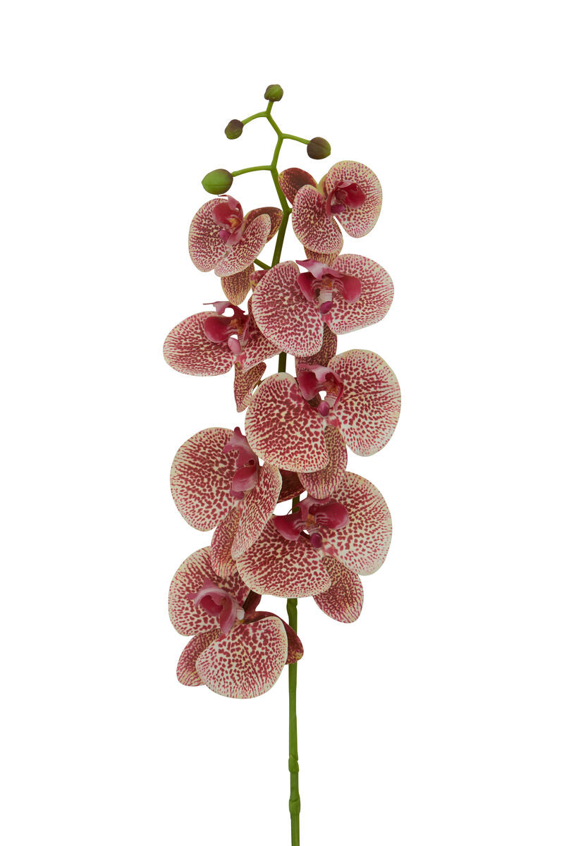 Fiori Tall Pink Orchid Spray Flower Stem