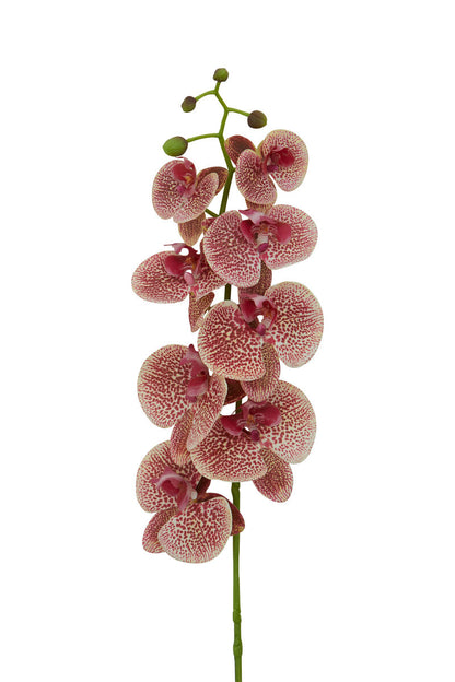 Fiori Tall Pink Orchid Spray Flower Stem