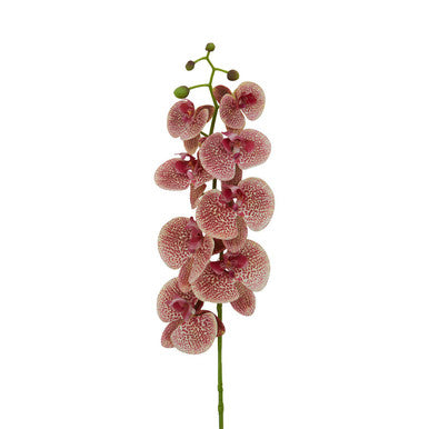 Fiori Tall Pink Orchid Spray Flower Stem